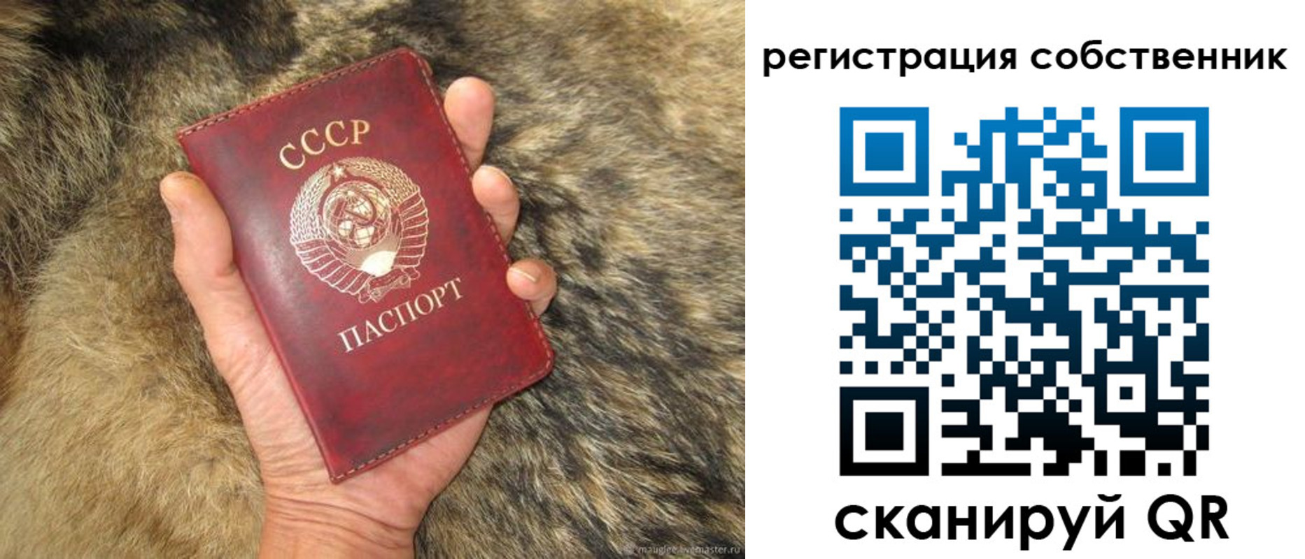 прописка 2025 в Заречном